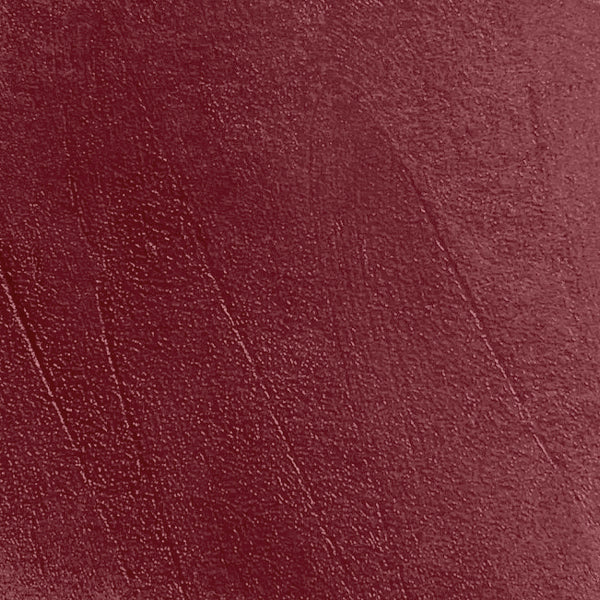 The Glossy Lip Plumper (80% OFF Today!)