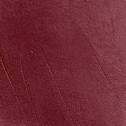 The Glossy Lip Plumper (80% OFF Today!)