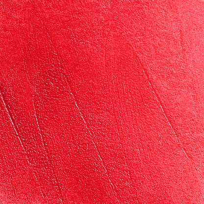 The Glossy Lip Plumper (80% OFF Today!)