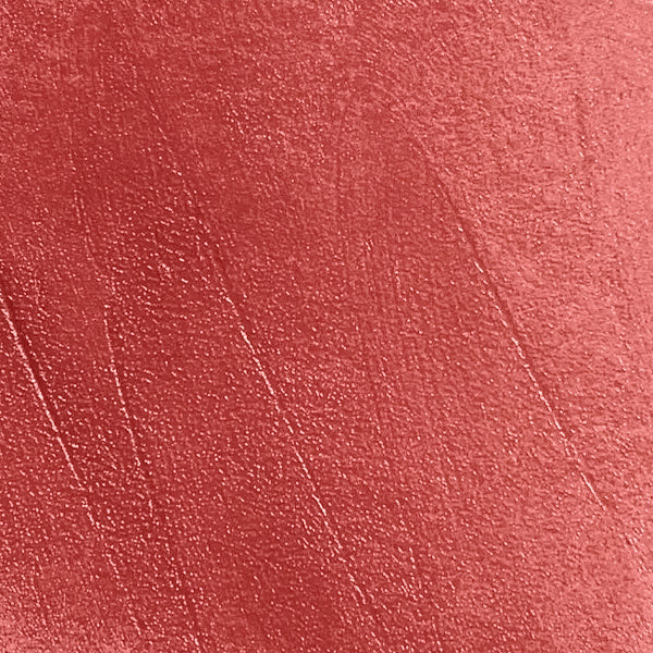 The Glossy Lip Plumper (80% OFF Today!)