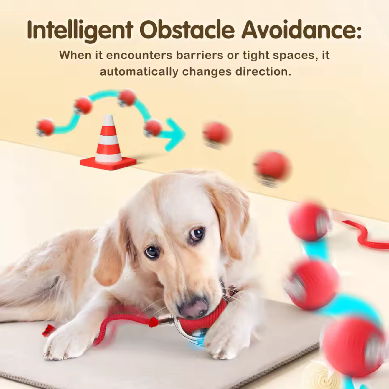 SmartRoll™ Motion Pet Toy