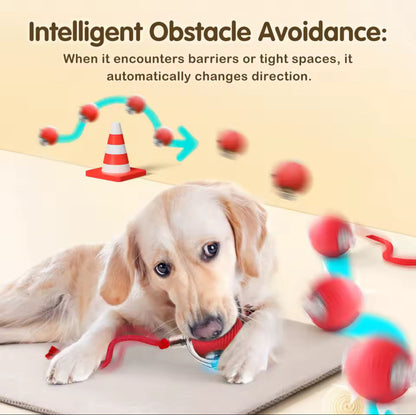 SmartRoll™ Motion Pet Toy