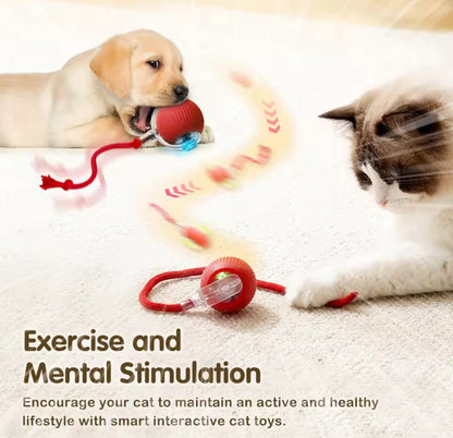 SmartRoll™ Motion Pet Toy