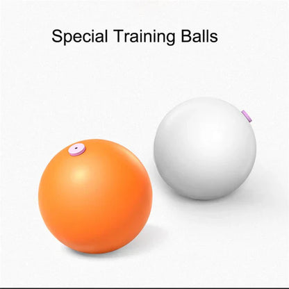 Table Tennis Elastic Trainer